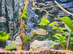 -上海海洋水族馆