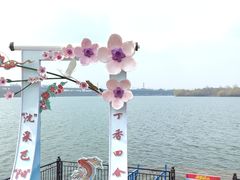 -丁香湖公园