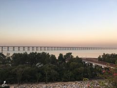 -宝安西湾红树林湿地公园