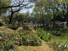 -人民公园(罗湖区)