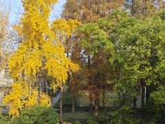 -南通博物苑-崇川人民公园