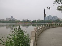 -莲花池公园
