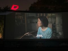 -枫花园汽车电影院(朝阳公园店)