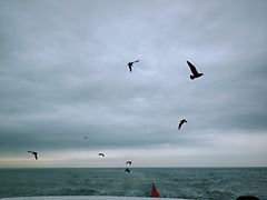 -海驴岛(荣成市)
