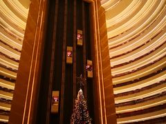 -杭州国际会议中心洲际酒店-菋道海鲜餐厅