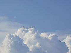 -弗洛拉定制花艺体验店