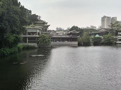 -荔湾湖公园