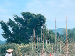 -七娘山