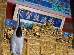 -珠海圆明新园