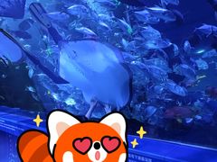 -青藏高原野生动物园