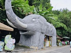 -野象谷景区