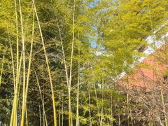 -东坡赤壁风景名胜区