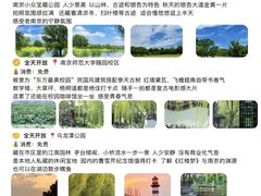 -好一朵茉莉花(老门东店)