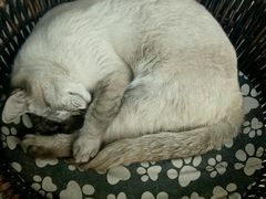 -广州科技贸易职业学院