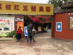 门面-荔枝红五号农庄