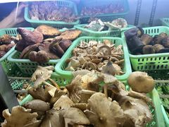 -野菌园·野生菌火锅首创第一家(关兴路总店)