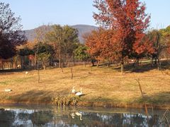 -紫霞湖公园