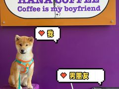 -HANA COFFEE(长寿路店)