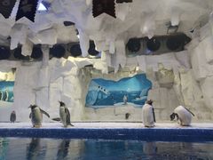 -华夏文旅海洋公园