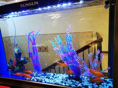 -海尔巴格新疆餐厅(东来兴店)