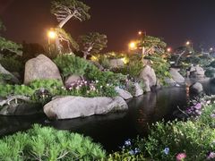 -罗红摄影艺术馆