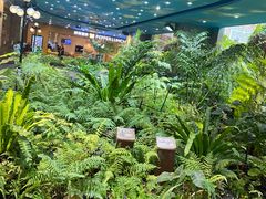 -凯德广场(学府店)