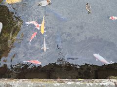 -水前寺成趣园