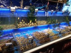 -必点海鲜·鲅鱼水饺(鞍山西道店)