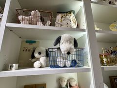 -ZARA HOME(天环广场店)