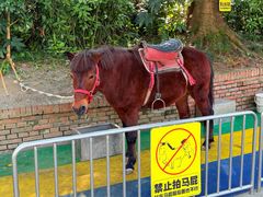 -成都欢乐谷
