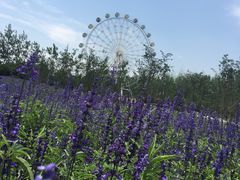 -云幽谷旅游区