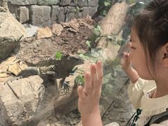 -正佳雨林生态植物园