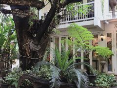 -Fern Forest Cafe