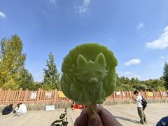 -鄂尔多斯野生动物园