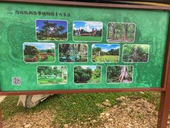 -中国科学院西双版纳热带植物园