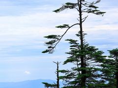-瓦屋山景区