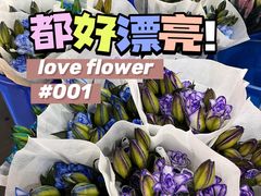 -金汇四季广场