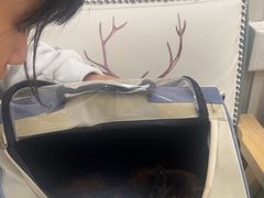 -瑞鹏宠物医院华南总院·夜诊·心脏科·骨科