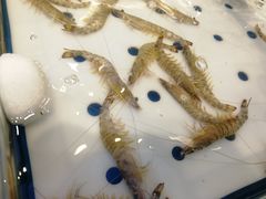 -川骄海鲜自助(河东店)