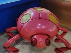 -上海昆虫博物馆