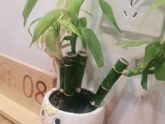 -蘇河湾·新鲁菜·泰山宴(宝龙店)