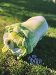 -鸿禧国际高尔夫俱乐部婚宴·草坪婚礼·宴会厅