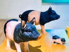 -小稻田辣椒炒肉(大浪商业中心店)