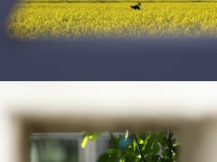 -东梓关景区村庄