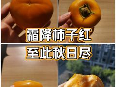 -四川大学(江安校区)