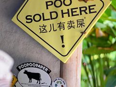 -大象粑粑造纸公园