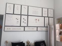 -熙朵美学植发·连锁品牌