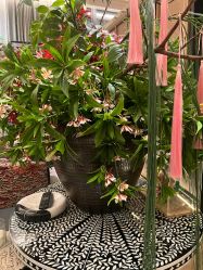 -RUMI日弥美容会所