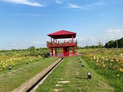 -嘉北郊野公园