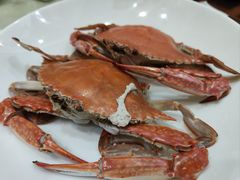 -日月昇渔家菜·海肠捞饭·大连海鲜(星海公园店)